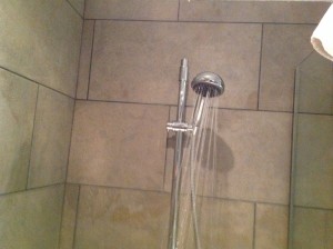 Showerheads - Beware of Legionella Showerheads should be descaled and sanitised regularly as an important anti-Legionella precaution
