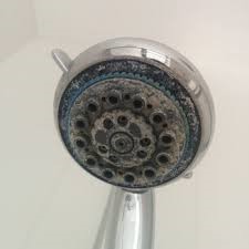 Prevent Legionnaire's Disease by avoiding scale under showerheads.