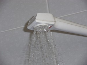Shower heads should be descaled and sanitised regularly to avoid legionella and potential Legionnaires Disease.