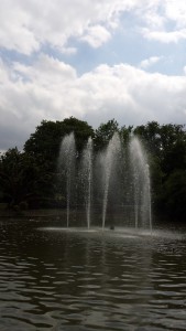 Leginonella Risk Assessments - Waterchemist Ltd Lichfield